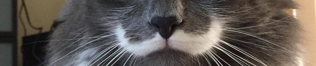 Fourcat