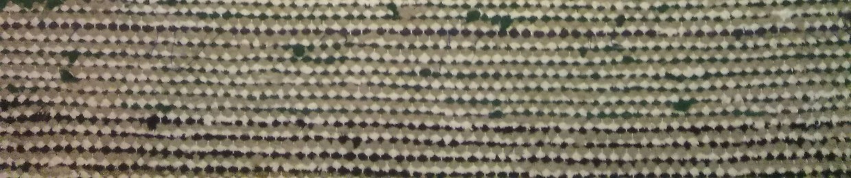 RooTMooS