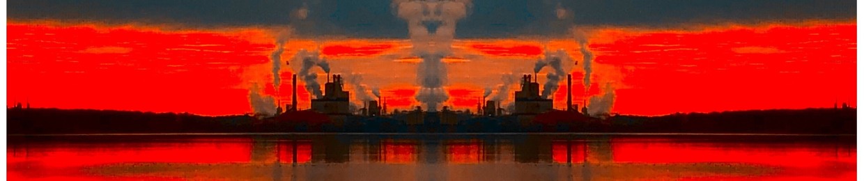 Indigo808