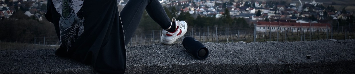 johanna streimelweger