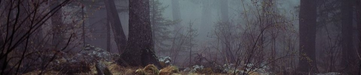 DarkForest Mix