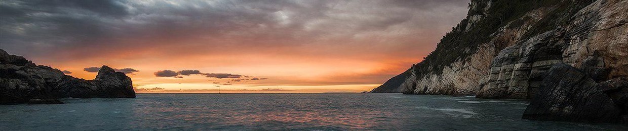 Whiteye Official Music