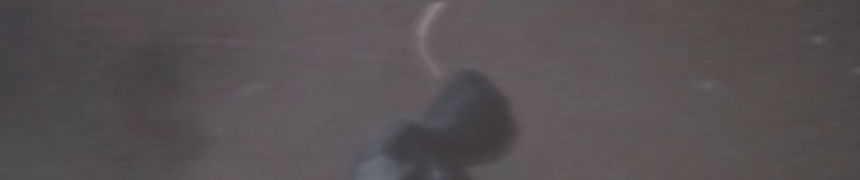 MIK