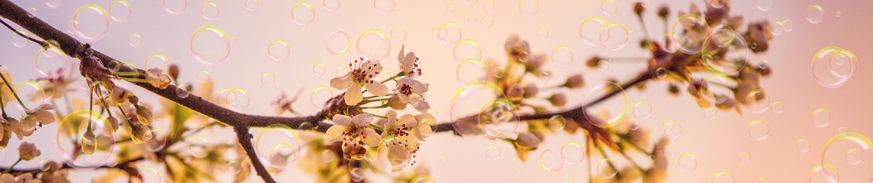 Bubbletree
