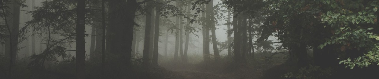 C4INSTRUMENTALS
