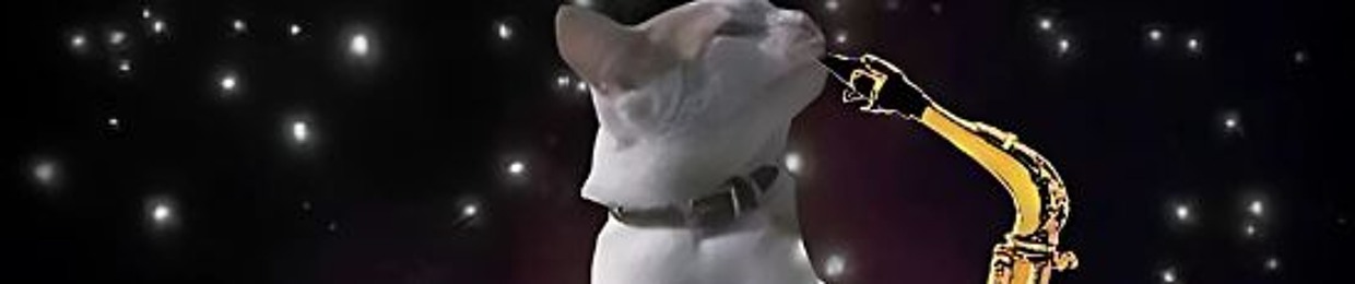 dieguillo (gatitomiau)