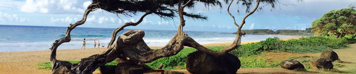 Online Aloha