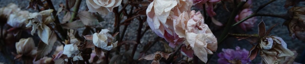 everythingbeautifulisgone