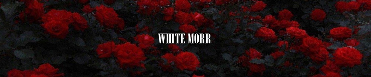 White Morr