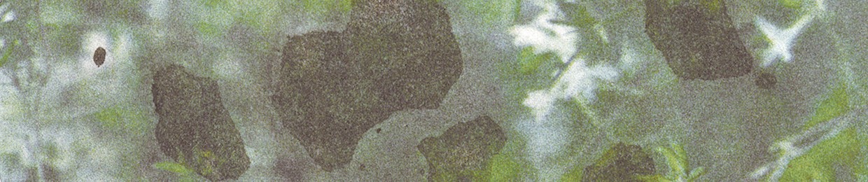 Ideophone Records