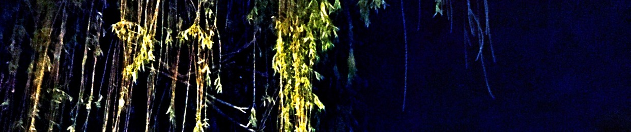 Ekku Enne (Fallopian Tube)