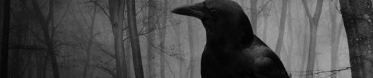 CHris Crow