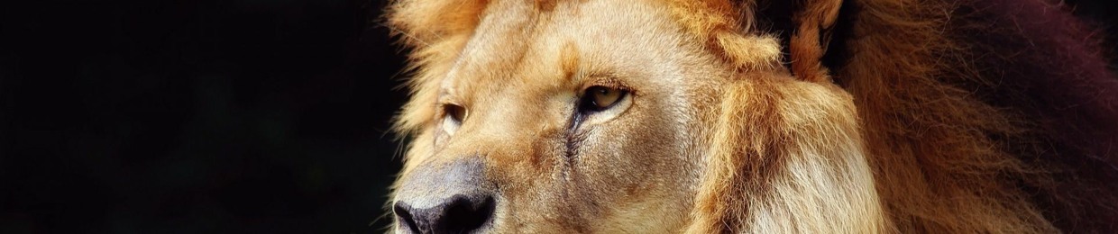 Gabriel Jonathan Martell