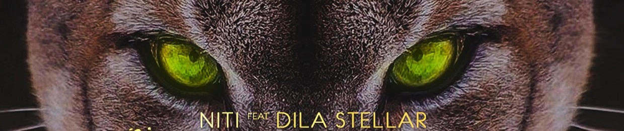 NITI feat. Dila Stellar