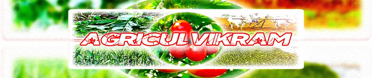 Agricul Vikram