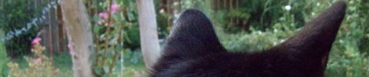 R4ttl3Head