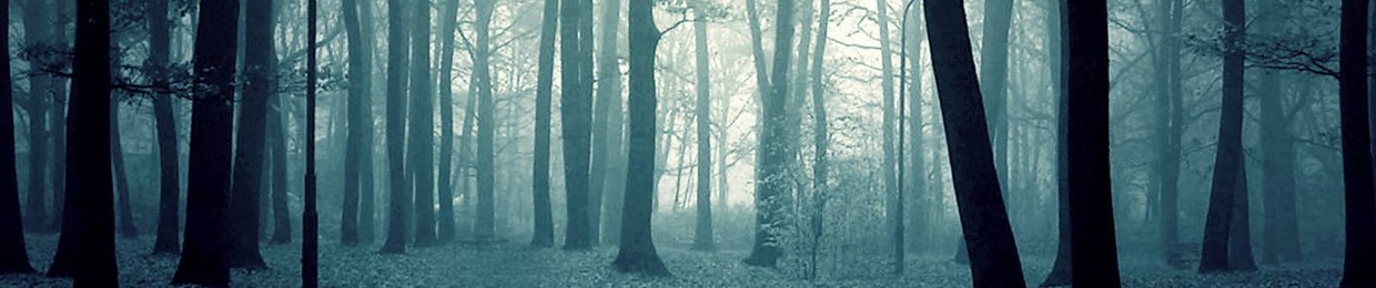 The Creepcast with Bri & Ber