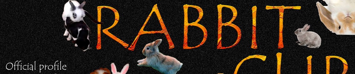 Rabbit Session's Two