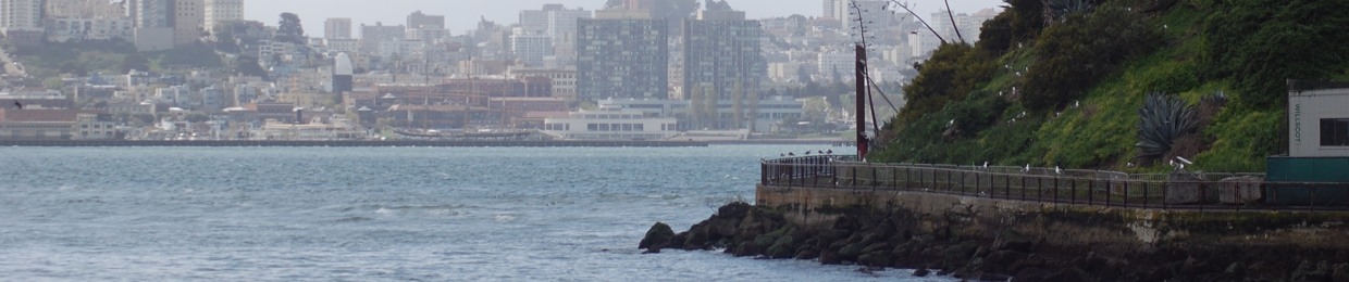 S.F.T.V.