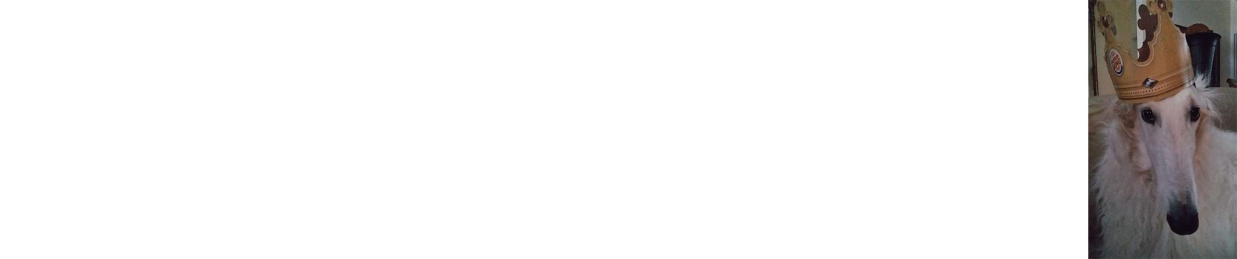 SoundCloud banner for @wholesome