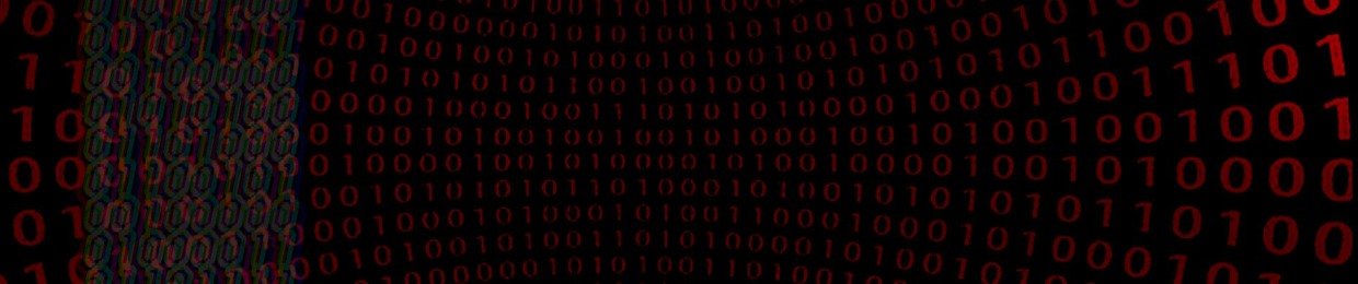 BinaryCode