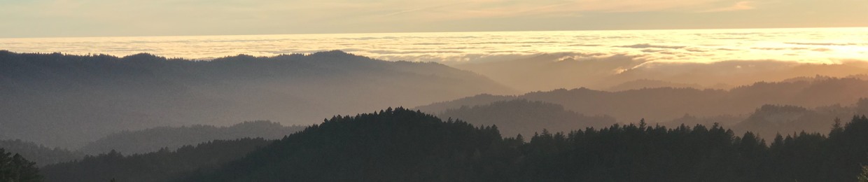 Taizan Gendo (Mark Adams) Wildcountryzen.com