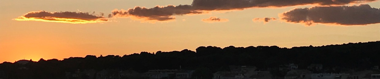 Mister Sun