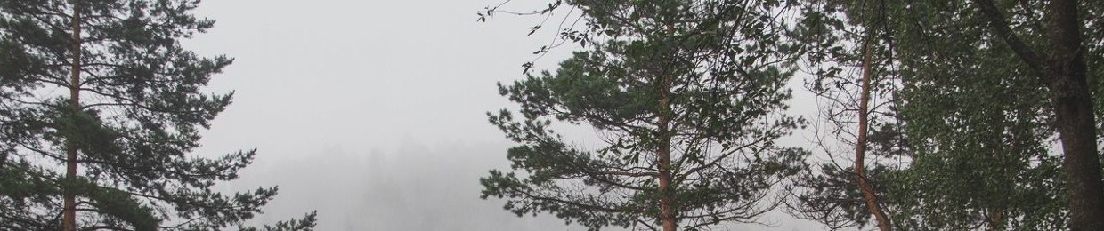 Вика Брик