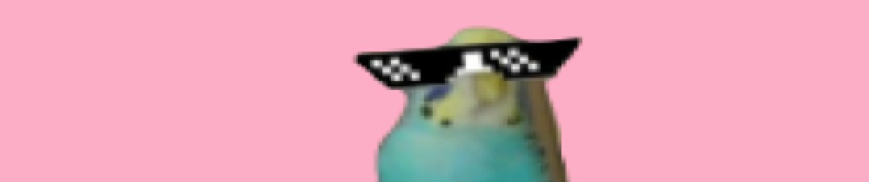 xxBitteh