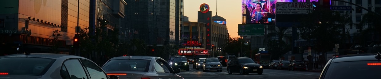 ๐ King BonsaiKid โฉ