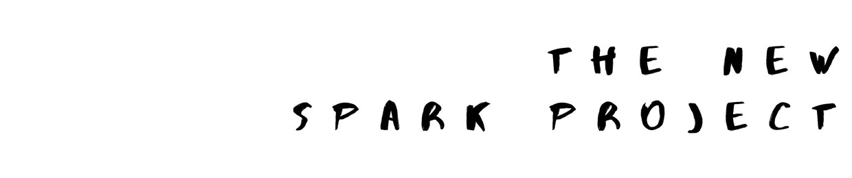 new spark project
