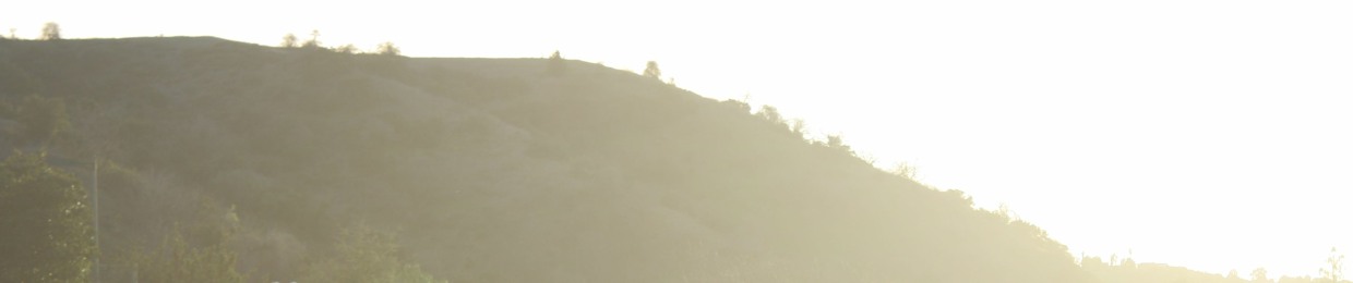 Sura