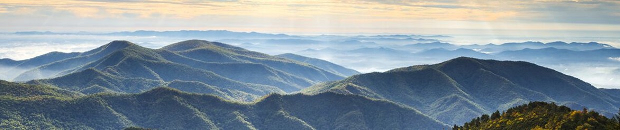 Matthew Wylie Coyote