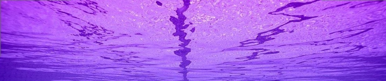 nullv0id