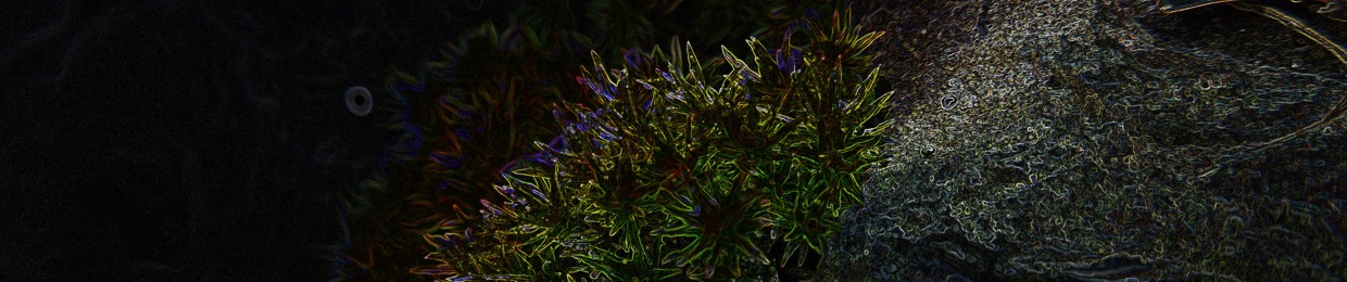 Androphasia