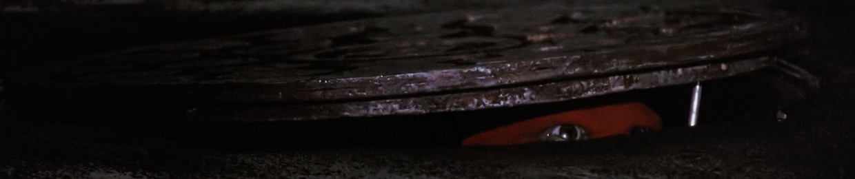 Turtle Tracks Podcast