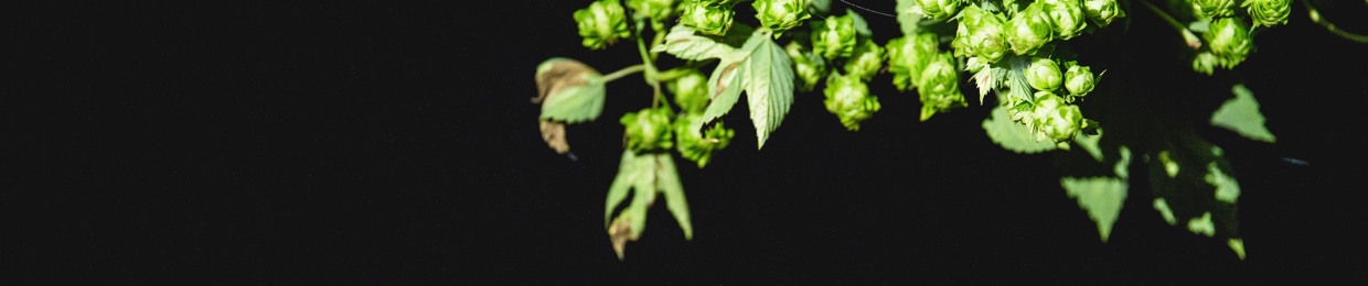 The Plymouth Conservatory