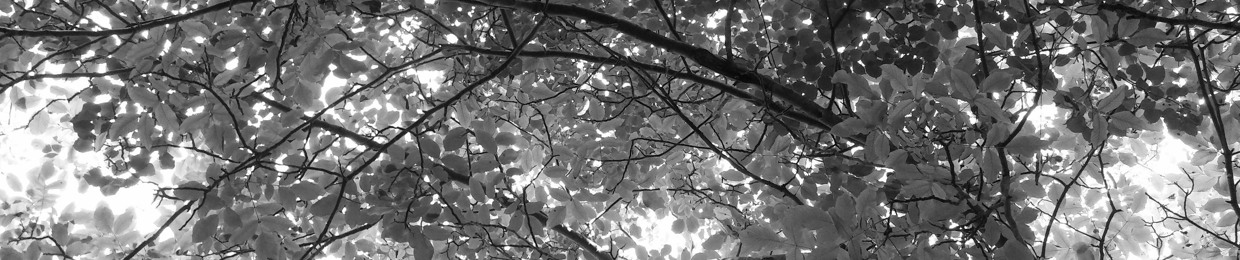 epilog Sesli Şiirler