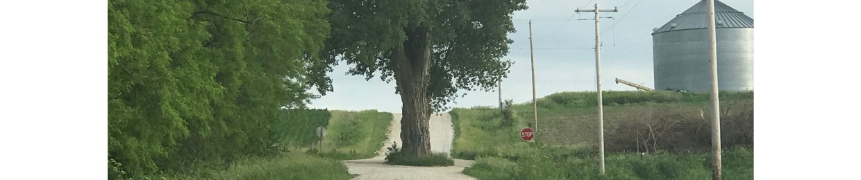 Road Trip 7 w/ The Iowa Gallivant