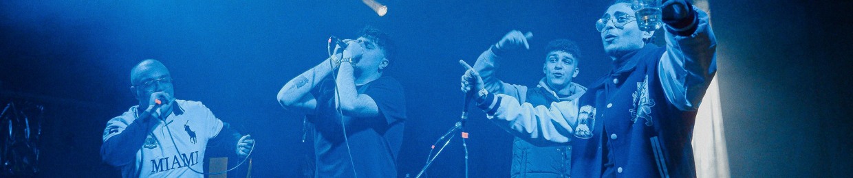 roccoBVS