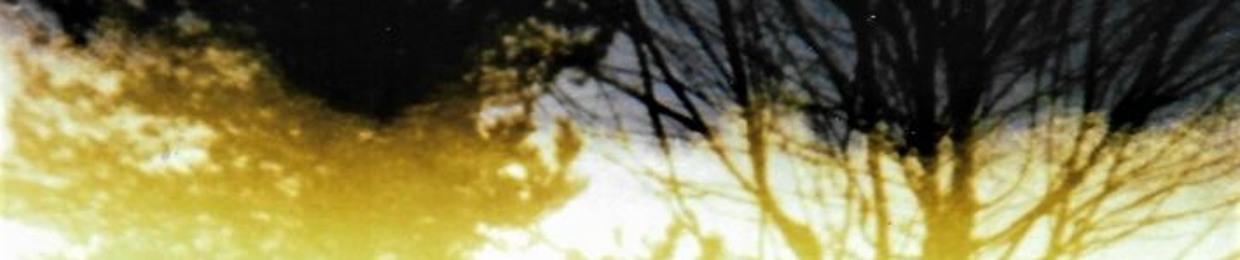 Everything Forgotten