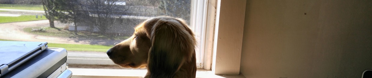 how we saw it podcast