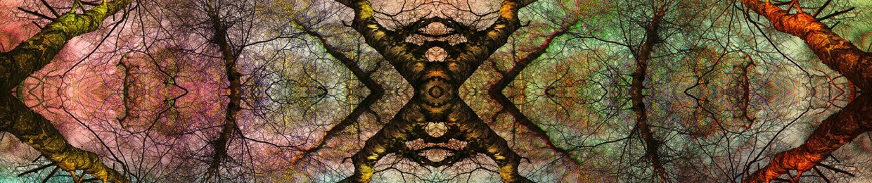 Dream Asylum