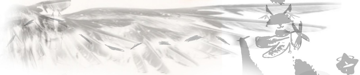 Flyg3r