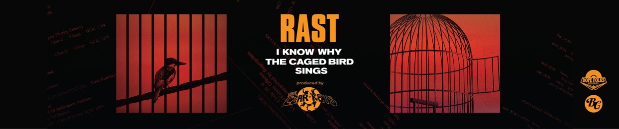 RAST (Misterman Cheers)