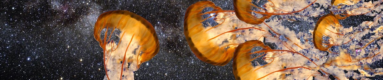 Atanasio Space Salmon Factory