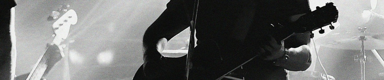 Amir Shoaei