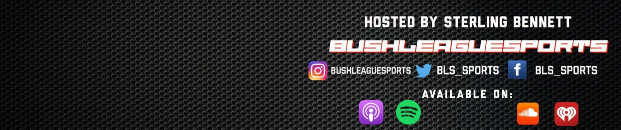BushLeagueSports
