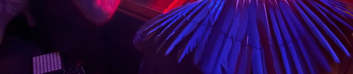 UCL Multimedia Anthropology Lab