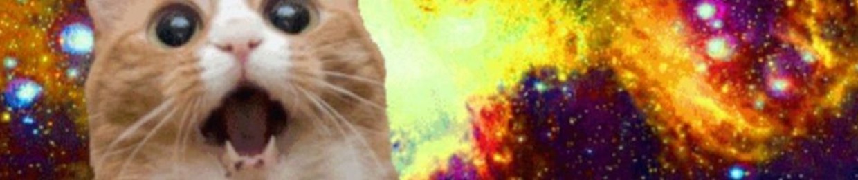 Buff cat